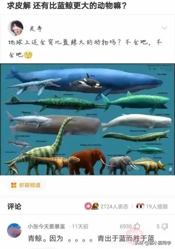 中国什么组织，存在了几千年？评论区秀到我了！哇哈哈哈哈哈