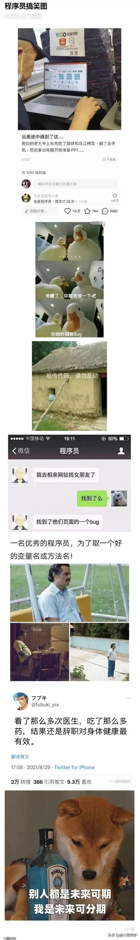 中国什么组织，存在了几千年？评论区秀到我了！哇哈哈哈哈哈