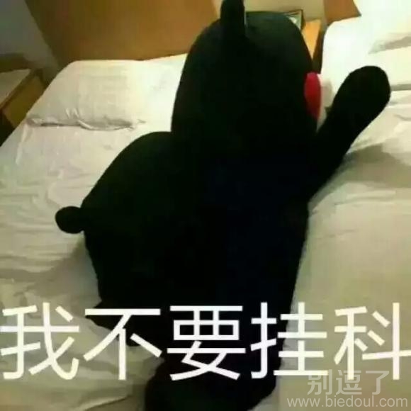 萌宠：我不要挂科