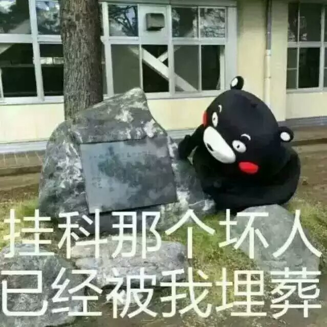 萌宠：我不要挂科