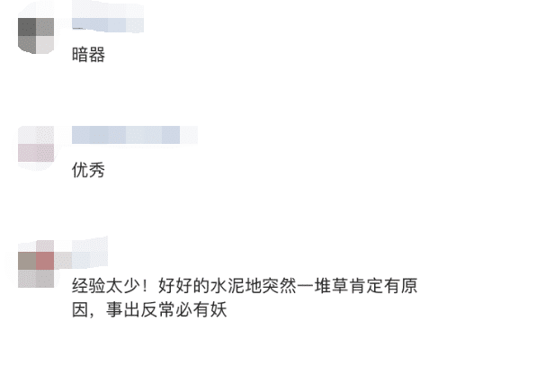 “遇到草堆不要压，可能是个伏地魔！”评论区优秀了！哈哈哈