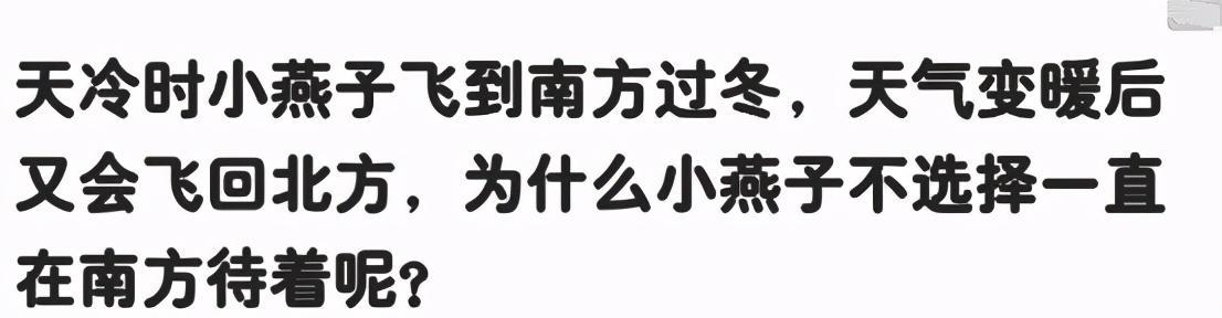 “如果你被严刑逼供，哪关你会投降？”哈哈哈哈吃不了苦