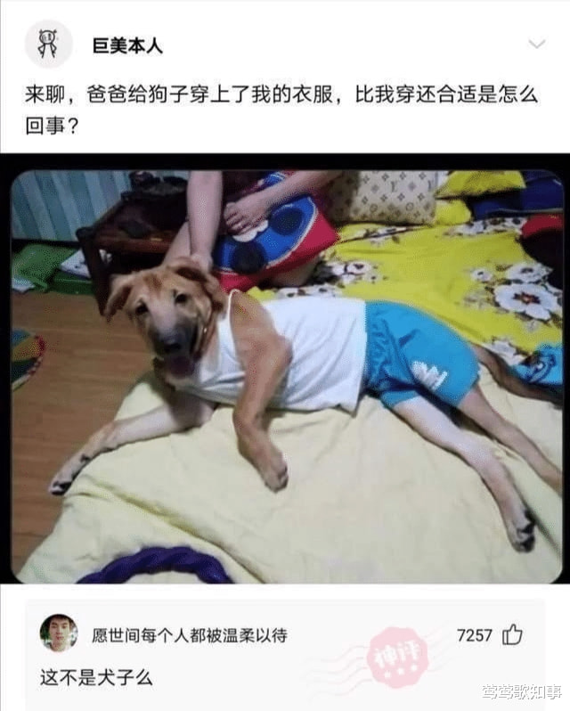 “女同事约我打网球，她突然摆出这个姿势，是在暗示我吗？”