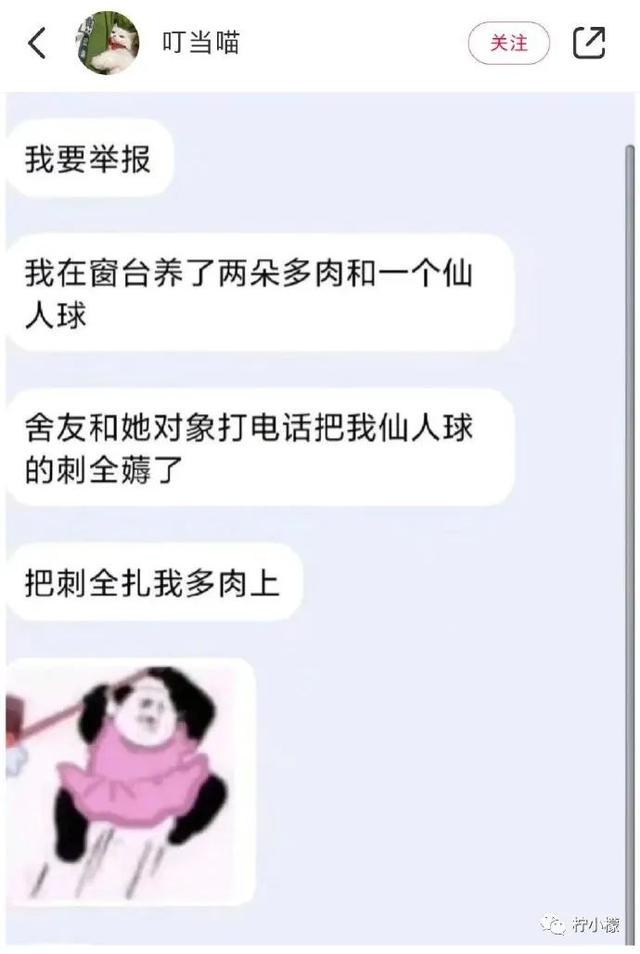 当你在学校剪了个明星同款的发型后....网友经历笑到窜稀哈哈哈哈