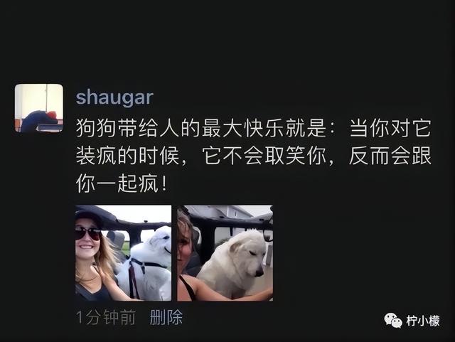 当你在学校剪了个明星同款的发型后....网友经历笑到窜稀哈哈哈哈