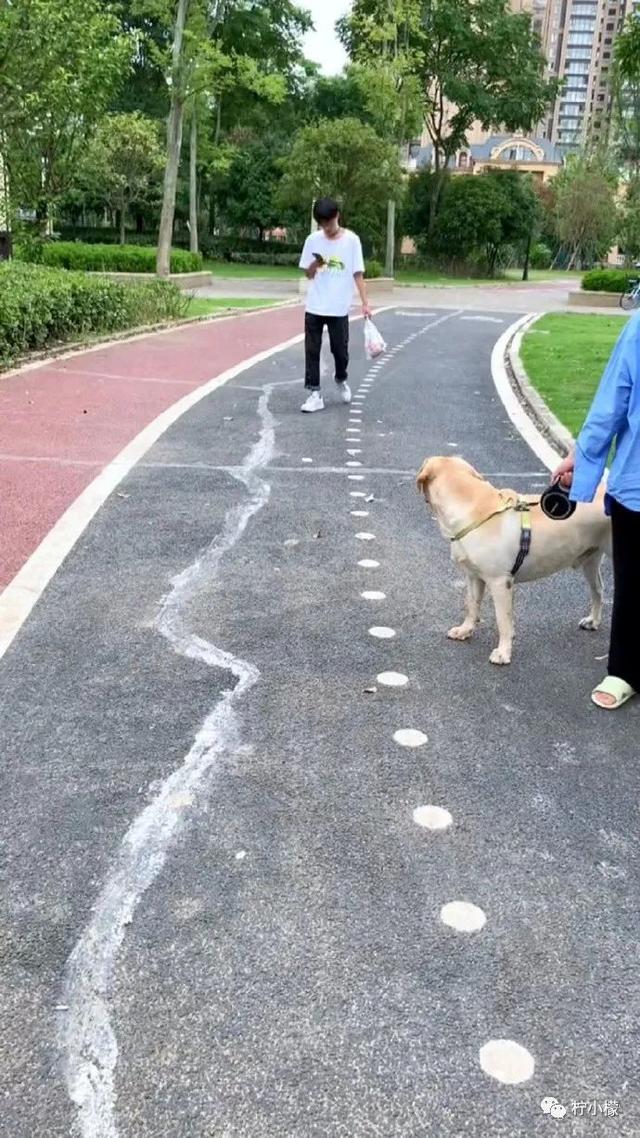 当你在学校剪了个明星同款的发型后....网友经历笑到窜稀哈哈哈哈