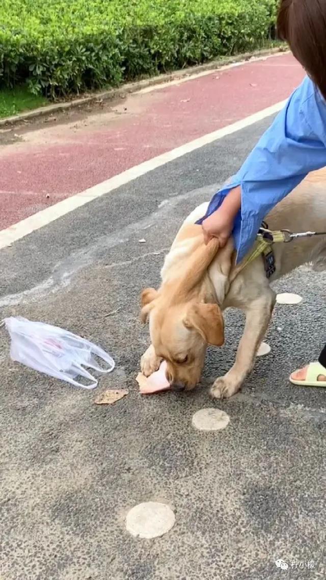 当你在学校剪了个明星同款的发型后....网友经历笑到窜稀哈哈哈哈