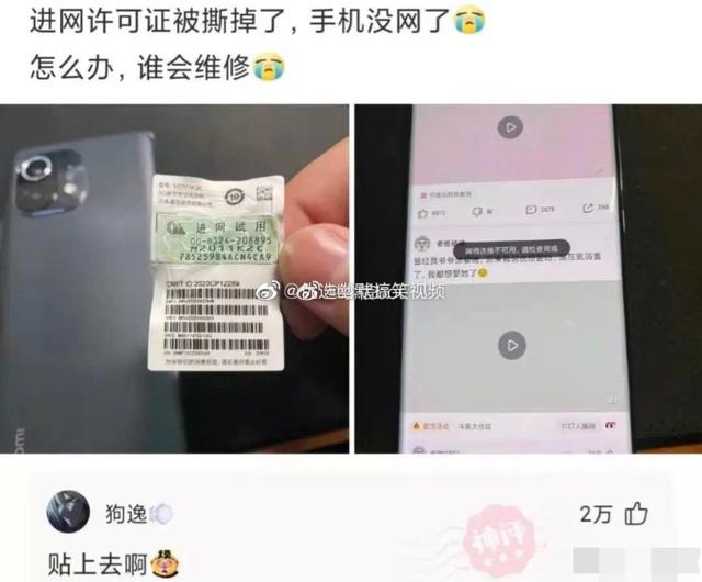 神评爆笑合集：跟姐姐相亲，我却看上了妹妹，我该怎么办啊？