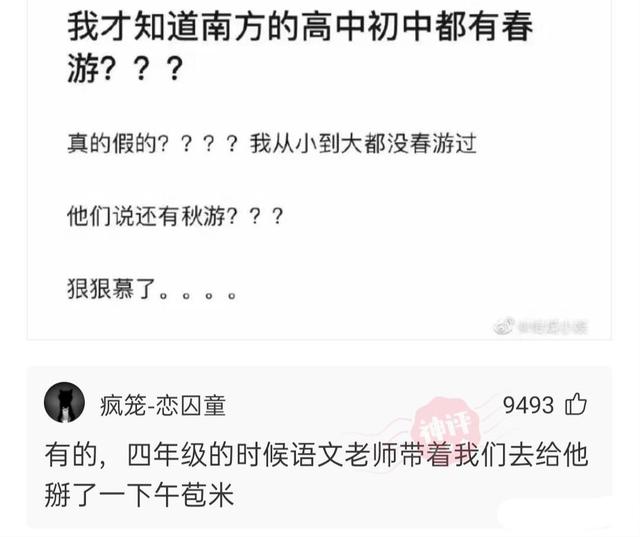 回复：姑娘穿成这样来拜佛，佛祖真的会保佑她吗？被评论笑死了