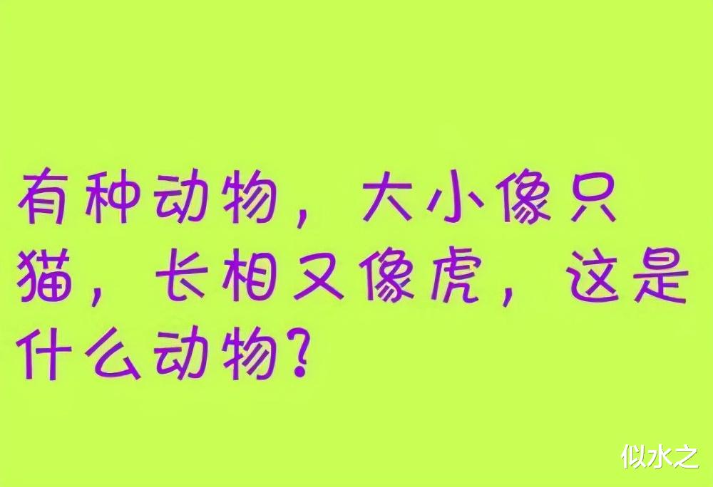 “为什么KTV没人喝白酒？”，神评永远都是那么给力！