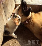 猜猜我是谁、、、