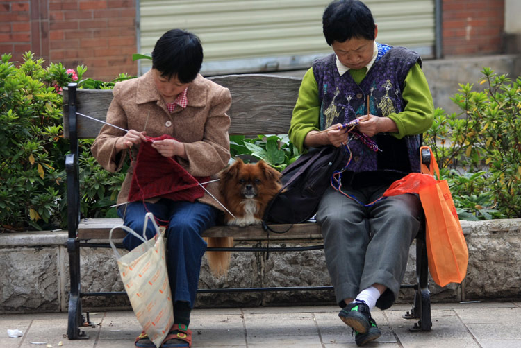 生活中趣图发现之旅