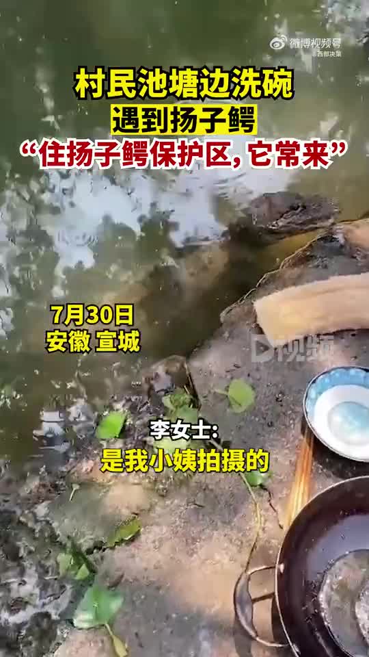 轻松一刻：现在这些网红，不是退网了就是落网了