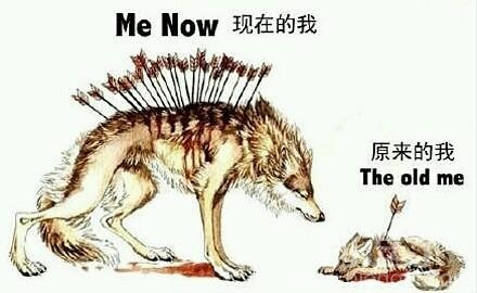 现在的我和原来的我。