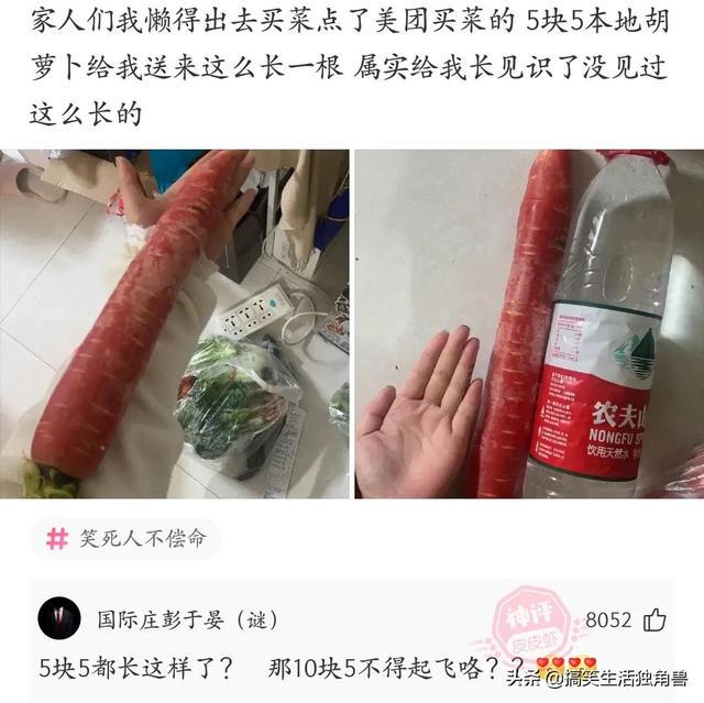 神回复：兄弟们，足球不太懂，中国输越南是什么概念？