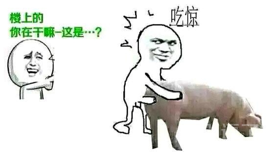 你在干什么？？？