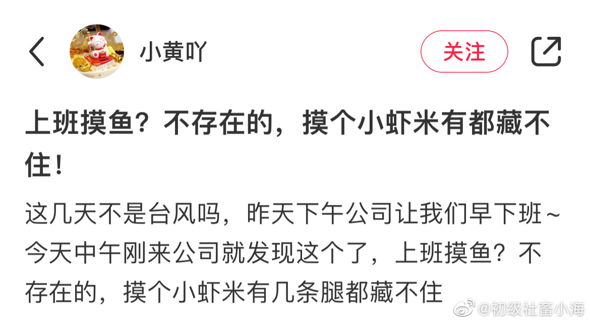 轻松一刻：人生处处是惊喜，看看是谁视奸你！