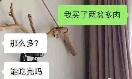 如何一句话把天聊死，代入感太强了，哈哈哈哈哈