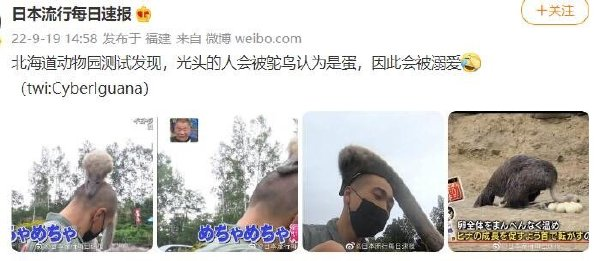 轻松一刻:结婚仨月夫妻不同房,老公:你孩子哪来的？