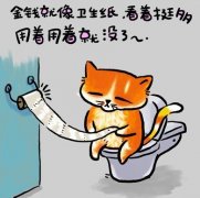 幽默漫画图片 猫咪的人生歪理之三,值得一看哦