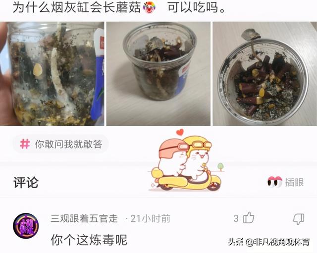 神回复：姑娘穿成这样来拜佛，佛祖真的会保佑她吗？被评论笑死了