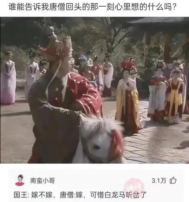 爆笑神评：早上在公园发现的，是不是发生了一场大战？很激烈啊