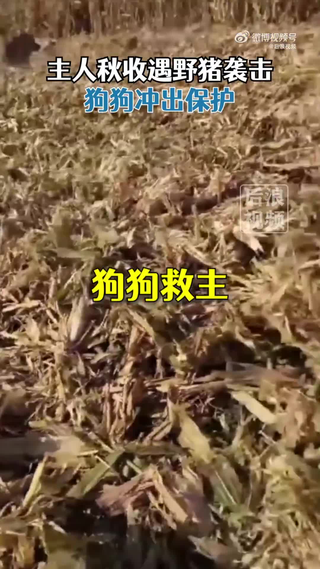 轻松一刻：您的长假余额已不足，请及时充值