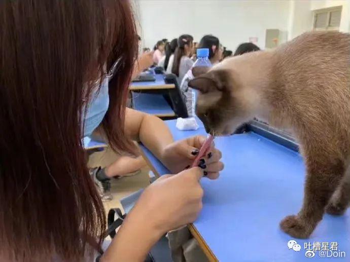 双十一期间状态be like……扎心了哈哈哈哈哈！