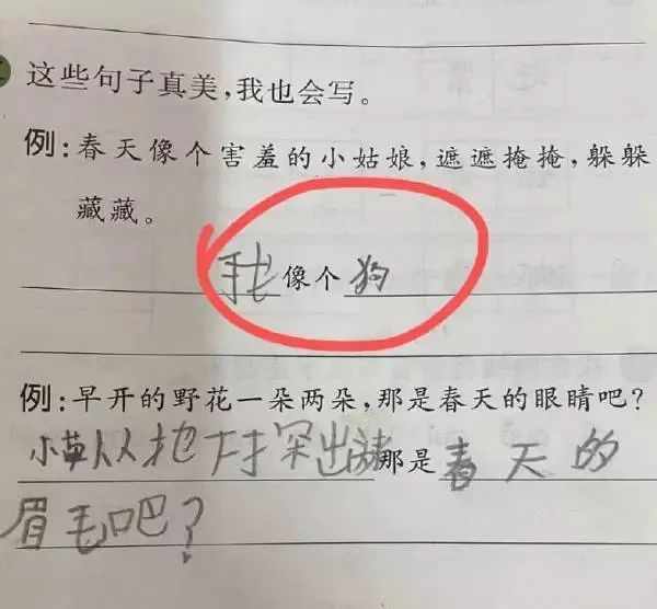 轻松一刻：第一次看见妹子，为爱这么不要命的