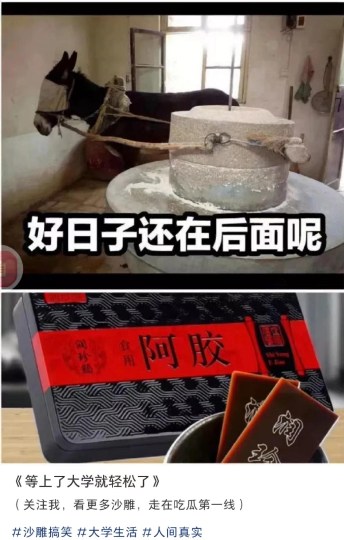 轻松一秒:测一测,你每天的运动量有多少?