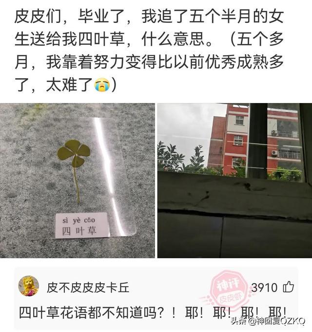 神回复：这叫赌吗？你九点上班，八点半眯一会，那才叫赌