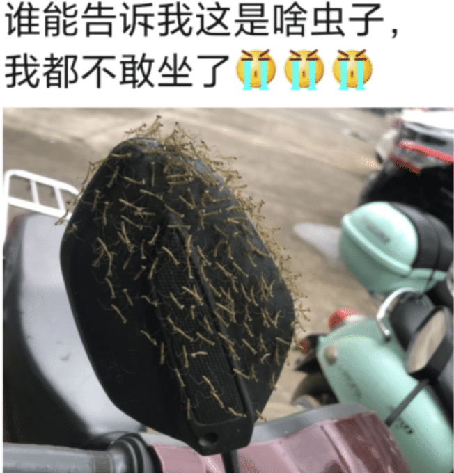 “趁老婆不在调戏她闺蜜，没想到真得手了？”想换老公就直说！