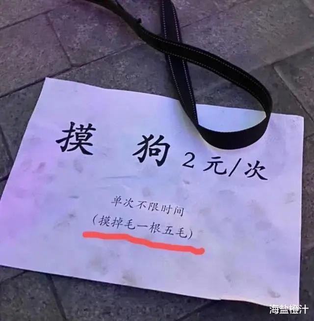 “网恋奔现能可怕到什么程度？”哈哈哈……童话里都是骗人的！