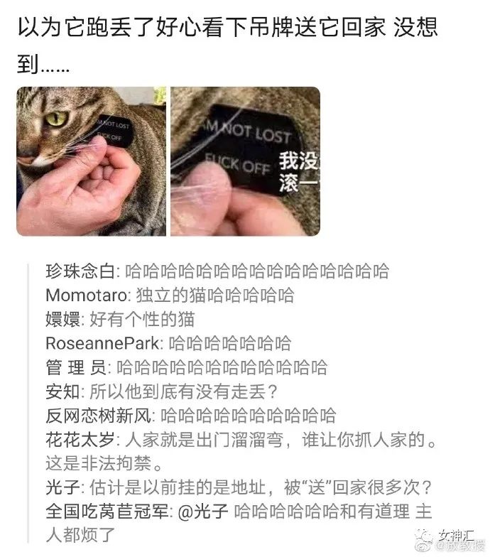 在某宝给男朋友买了件衬衫，收到后整个人都懵了？网友：哈哈哈刺激！