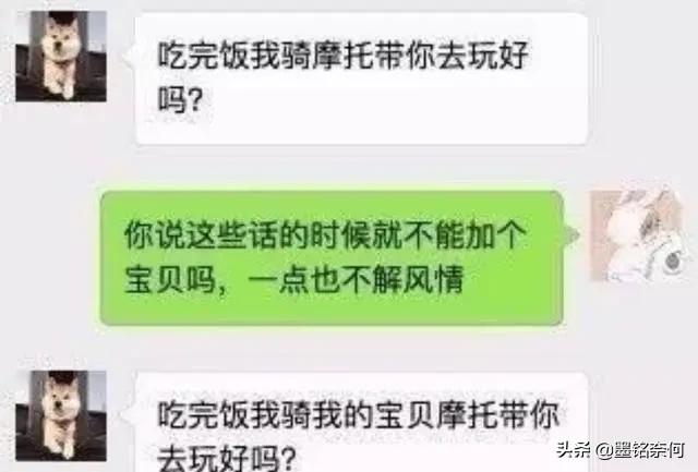 开心笑话：女友喝多了，蹲在门口跟我家狗谈人生，结果狗都不理她