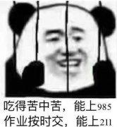 吃得苦中苦,能上985作业按时交,能上211表情包