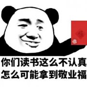 你们读书这么不认真，怎么可能拿到敬业福表情包