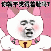 你就不觉得羞耻吗？表情包