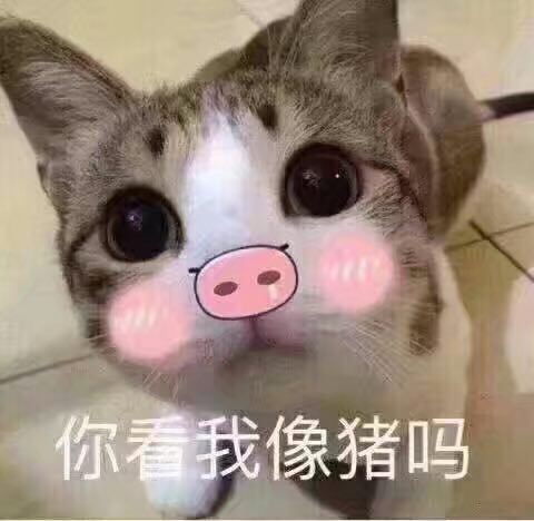 你看我像猪吗表情包