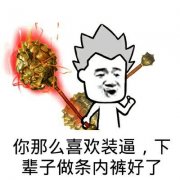 你那么喜欢装逼，下辈子做条内裤好了！表情包