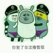 你犯了非法撸管罪表情包