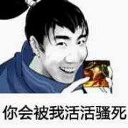 你会被我活活骚死！表情包