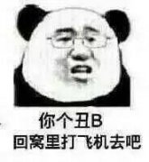 你个丑B，回窝里打飞机去吧（熊猫人戴眼镜）表情包