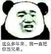 这么多年来，我一直把你当兄弟 你却拿我当爸爸表情包