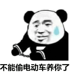 不能偷电动车养你了表情包