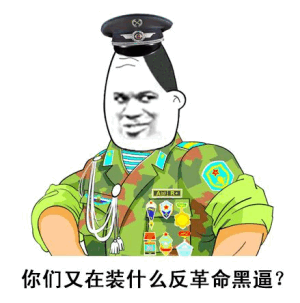 你们又在装什么反革命黑逼表情包