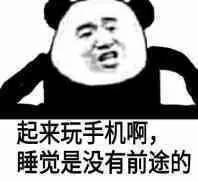 起来玩手机啊,睡觉是没有前途的表情包