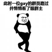 此时一位gay的群员，途经并静静看了眼群主表情包