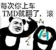 每次你上车TMD就翻了，滚表情包