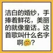 洁白的婚纱,手捧着鲜花,美丽的就像童话。这首歌叫什么名字啊表情包